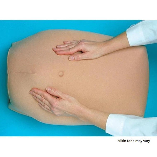 http://www.gtsimulators.com/cdn/shop/products/abdominal-palpation-model-he-79820-811565_grande.jpg?v=1680213163