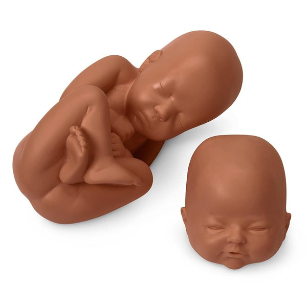 GHDE&MD Advanced Childbirth Simulator, Pregnant Woman and Baby Model,  Childbirth Skill Training Simulator