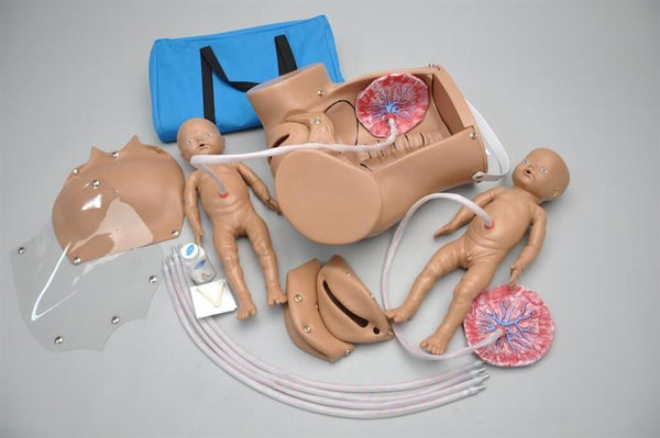 Laybor Birth Training Simulator Child Labor Set Of 5 Parts Obstetric Model