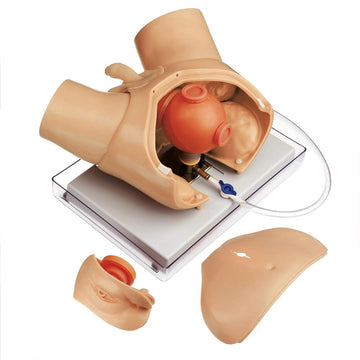 1. CLA Urology Models