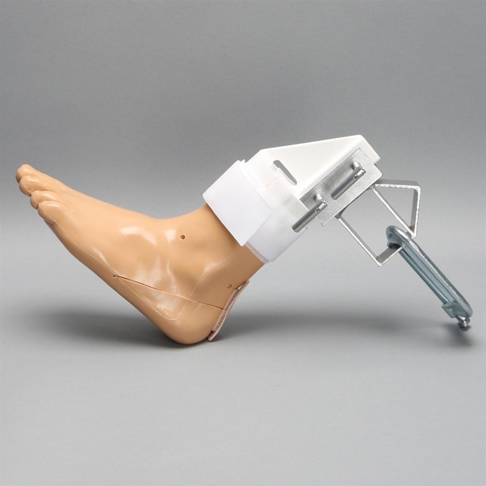 Foot and Ankle Arthroscopy Models