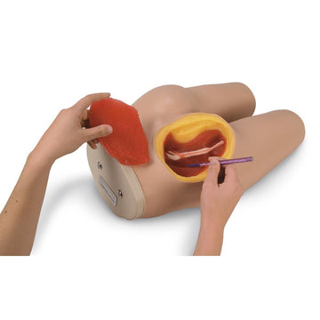 1. IM-Intramuscular Injection Trainers