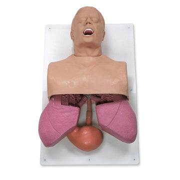 1. Intubation Trainer