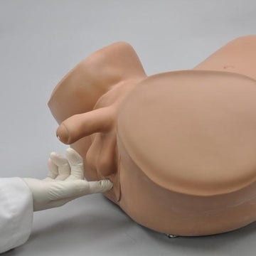 1. Urology Training Simulators