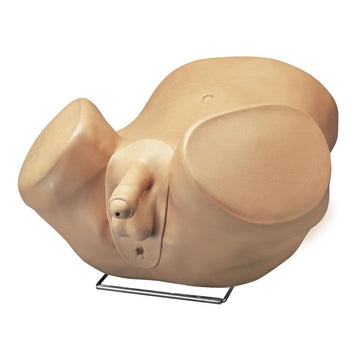 1. Prostate Exam Simulators