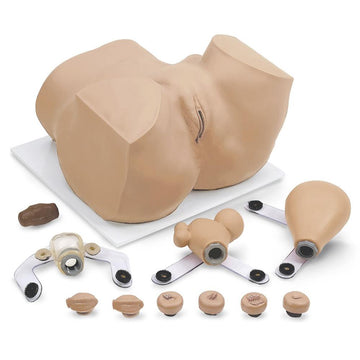 1. Obstetric Birthing Torsos