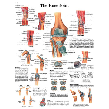 Joint Charts