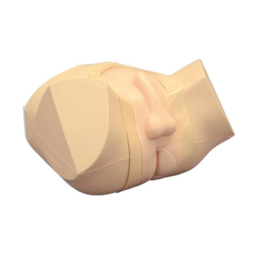 1. Rectal Examination Simulators