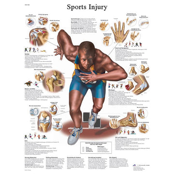 Injury Charts