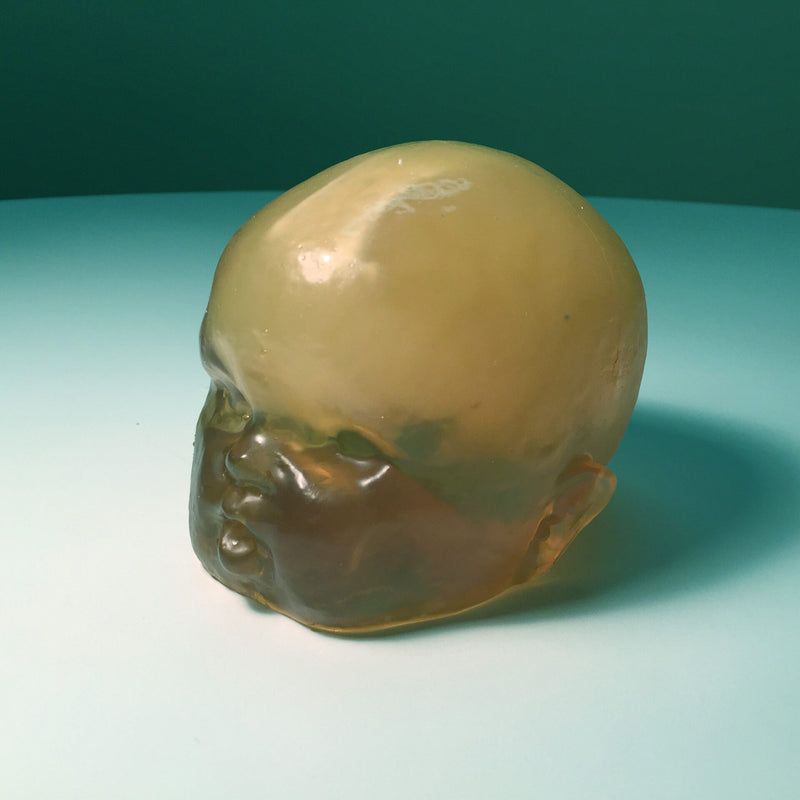 Newborn Head Phantom for X-Ray CT and Ultrasound Training (Simple)