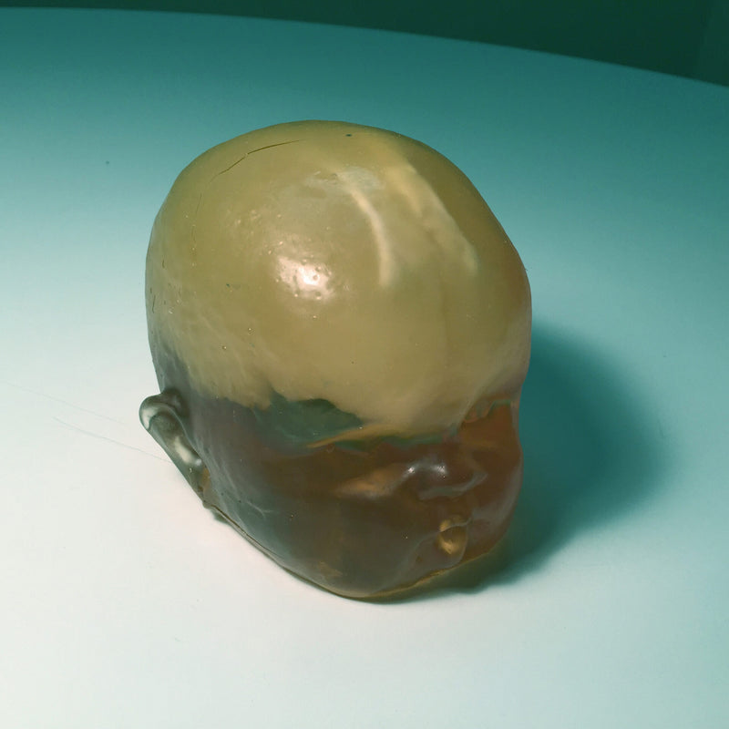 Newborn Head Phantom for X-Ray CT and Ultrasound Training (Simple)