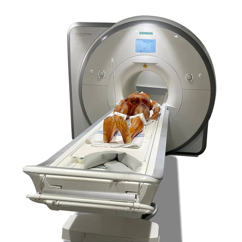 Adult Full Human Body Phantom for X-Ray CT & MRI Training