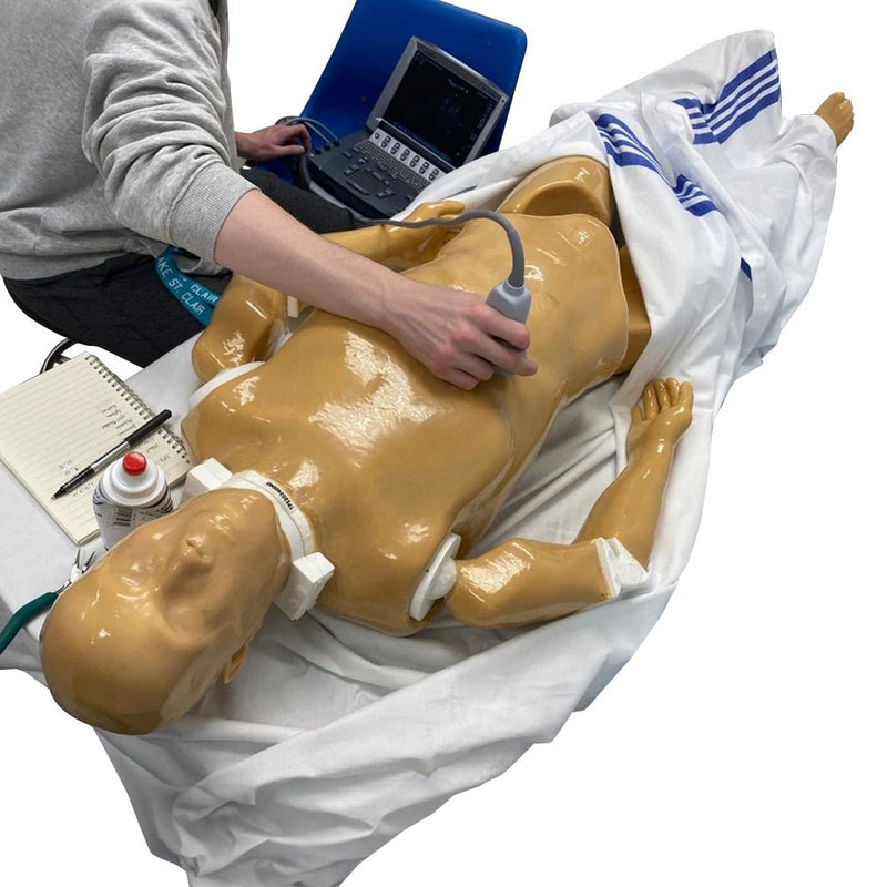 Adult Full Human Body Phantom for X-Ray CT & MRI Training