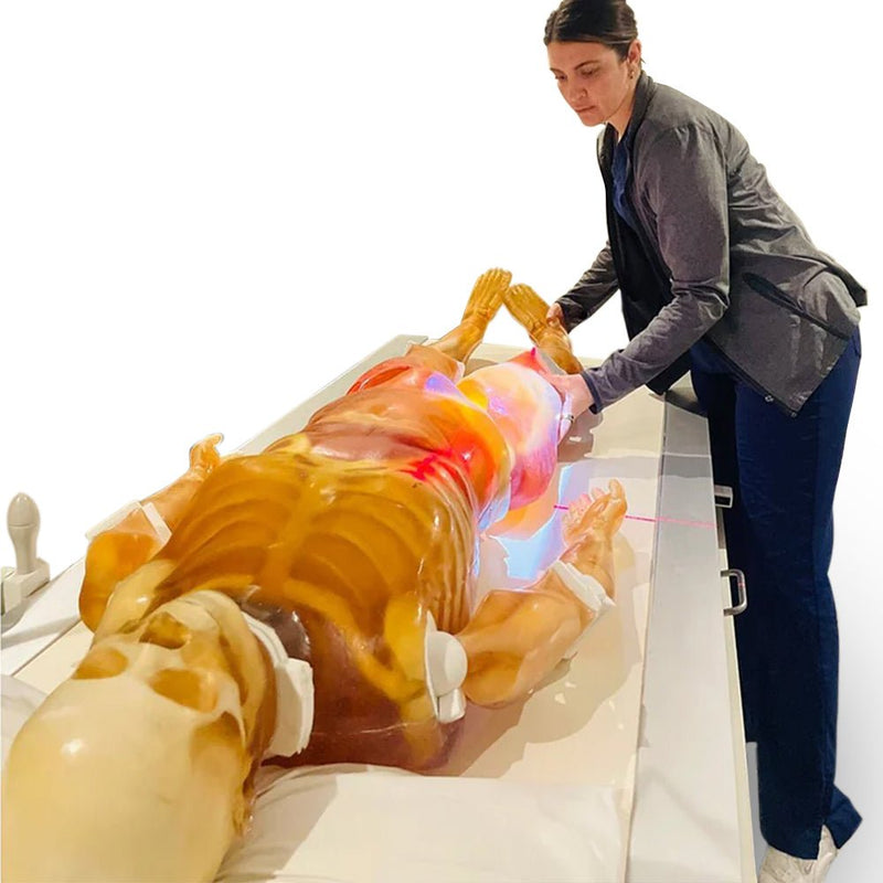 Adult Full Human Body Phantom for X-Ray CT & MRI Training