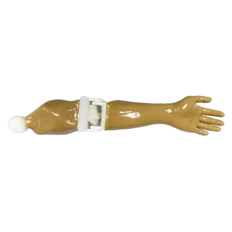 Adult Full Human Body Phantom for X-Ray CT & MRI Training