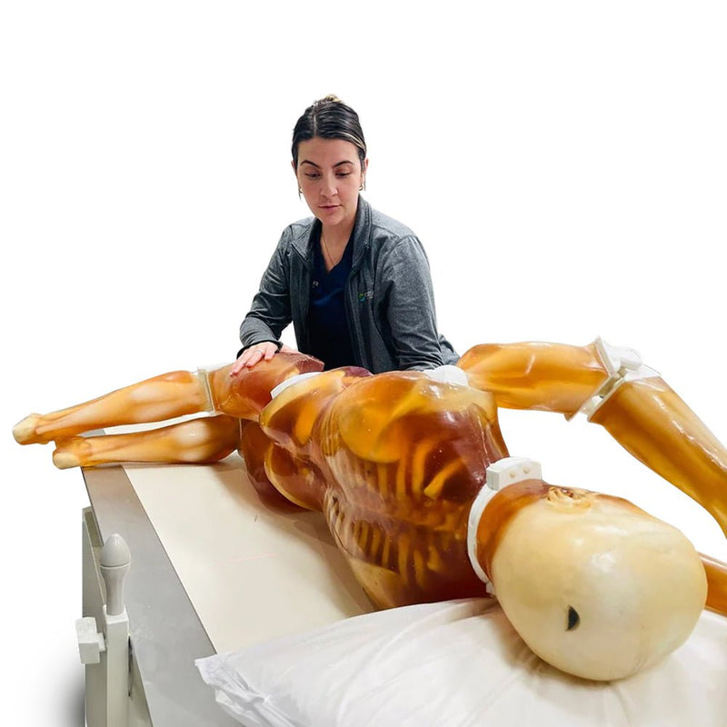 Adult Full Human Body Phantom for X-Ray CT & MRI Training