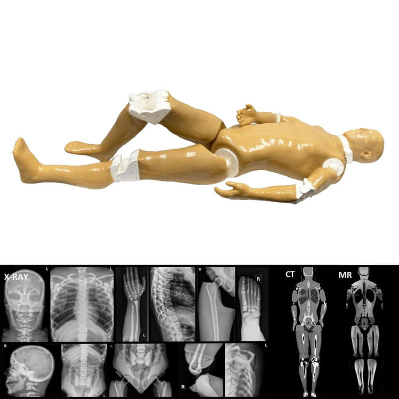 Adult Full Human Body Phantom for X-Ray CT & MRI Training