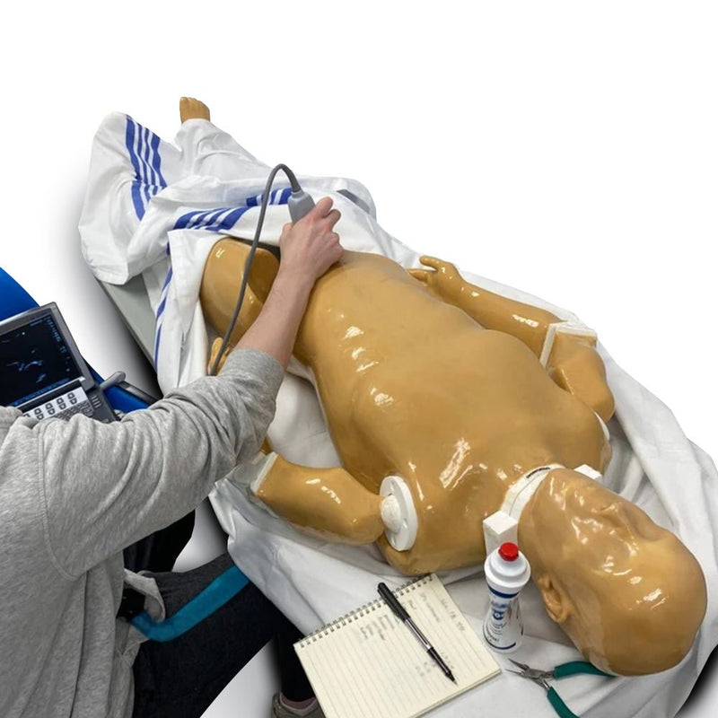 Adult Full Human Body Phantom for X-Ray CT & MRI Training