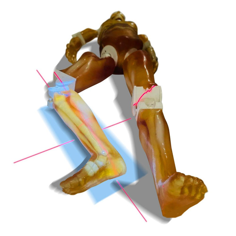 Adult Full Human Body Phantom for X-Ray CT & MRI Training