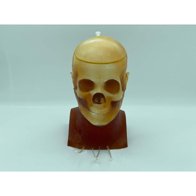 Advanced Adult Head Phantom for X-Ray CT, Ultrasound and MRI