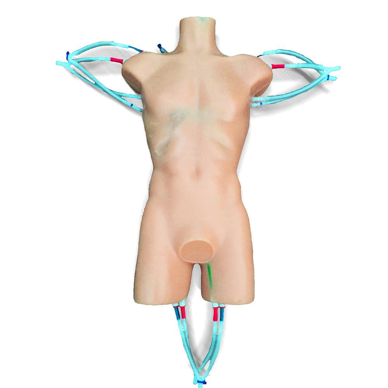 Advanced Adult Torso with Heart Pump for X-Ray CT and MRI