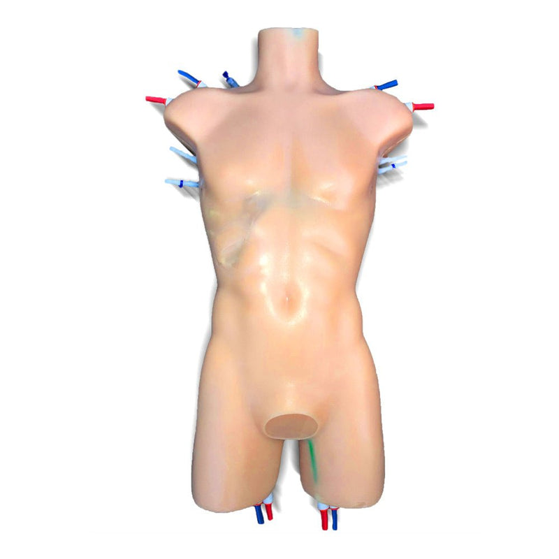 Advanced Adult Torso with Heart Pump for X-Ray CT and MRI