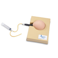 AMNIO ABBY® - Ultrasound Guided Invasive Procedures Simulator