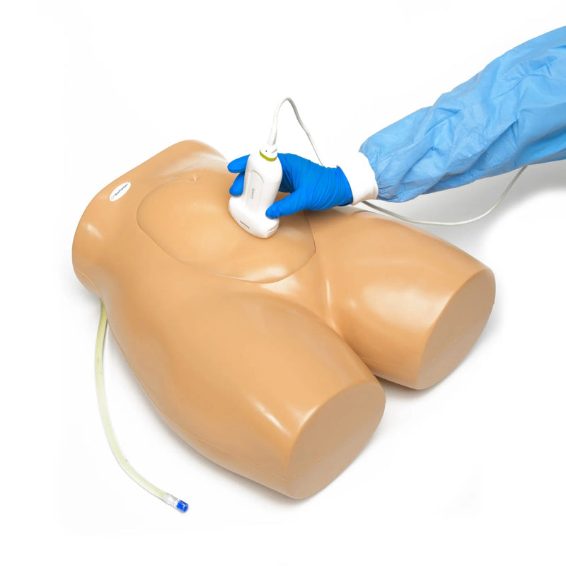 Amniocentesis Ultrasound Training Model