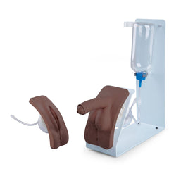 Catheterization Simulator Set, Basic, Dark Skin