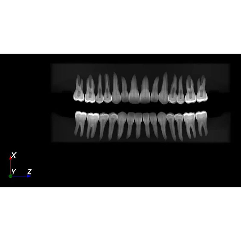 DENT.PRO Hybrid Dental Simulator