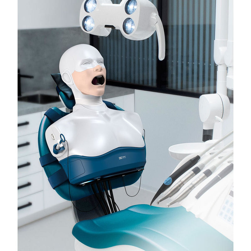 DENT.PRO Hybrid Dental Simulator