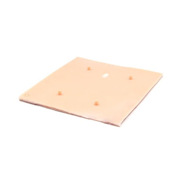 Dog Linea Alba Surgical Suture Training Pad for Veterinary Education