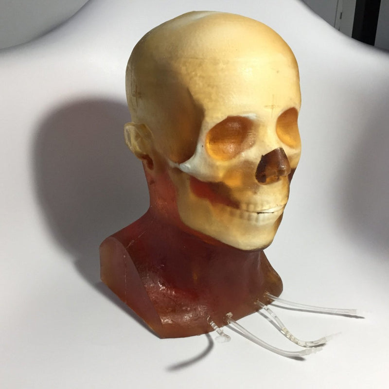 Dynamic Adult Head Phantom for Ultrasound, MRI and CT applications