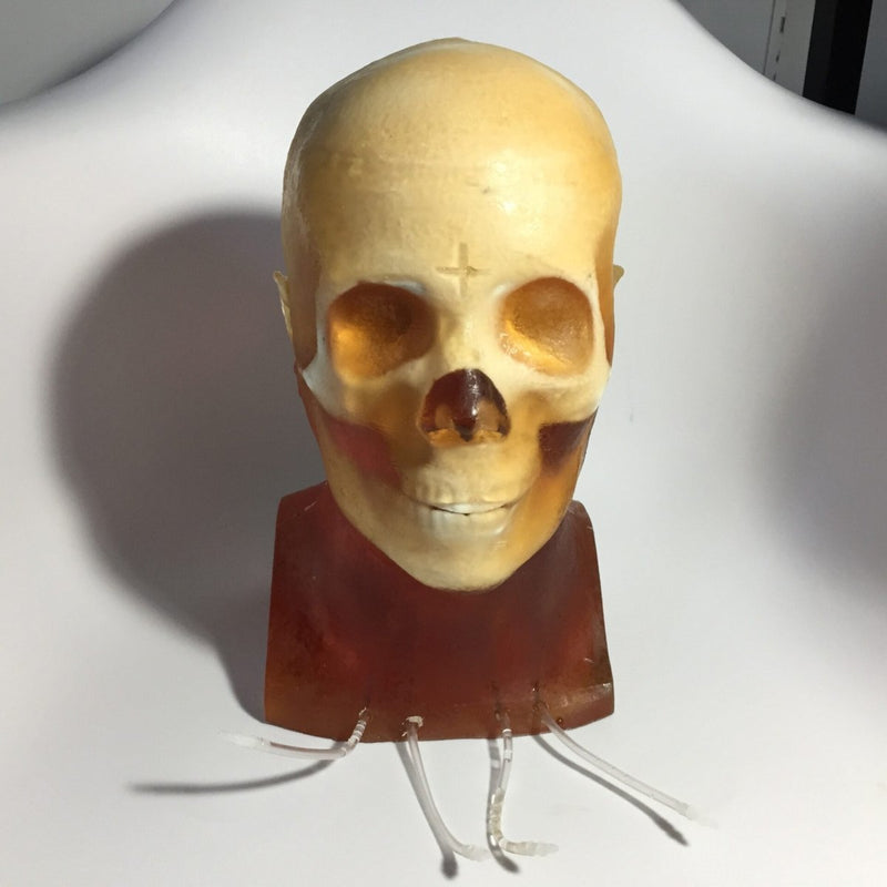 Dynamic Adult Head Phantom for Ultrasound, MRI and CT applications