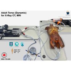 Dynamic Adult Torso with Heart Pump for X-Ray CT and MRI