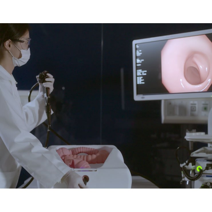 Lower Gastro-Intestinal Endoscopy & Stenting Simulator