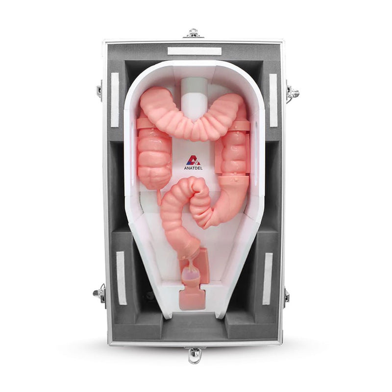 Lower Gastro-Intestinal Endoscopy & Stenting Simulator