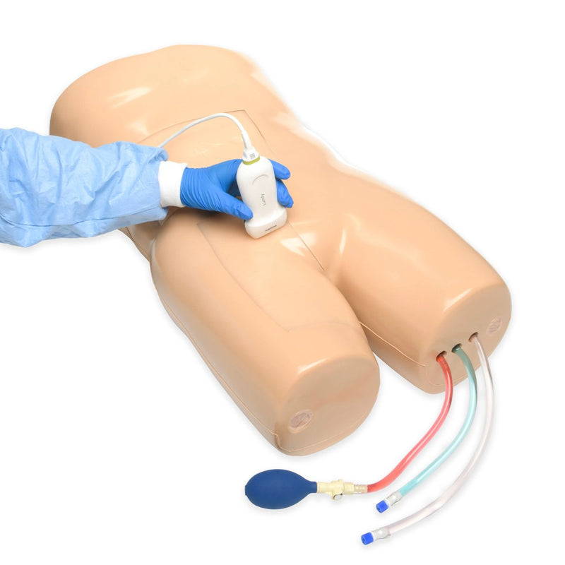 Paracentesis Ultrasound Training Model