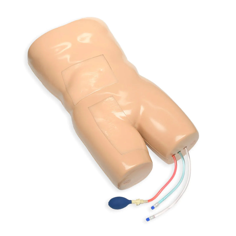 Paracentesis Ultrasound Training Model