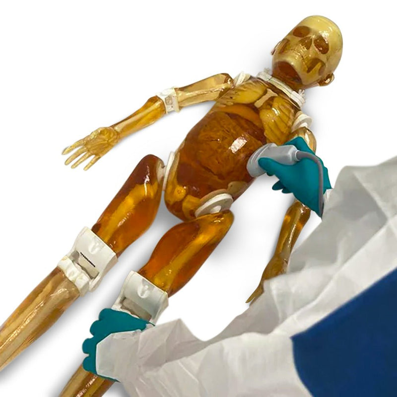 Pediatric Full Human Body Phantom for X-Ray CT & MRI Training