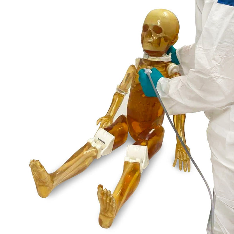 Pediatric Full Human Body Phantom for X-Ray CT & MRI Training