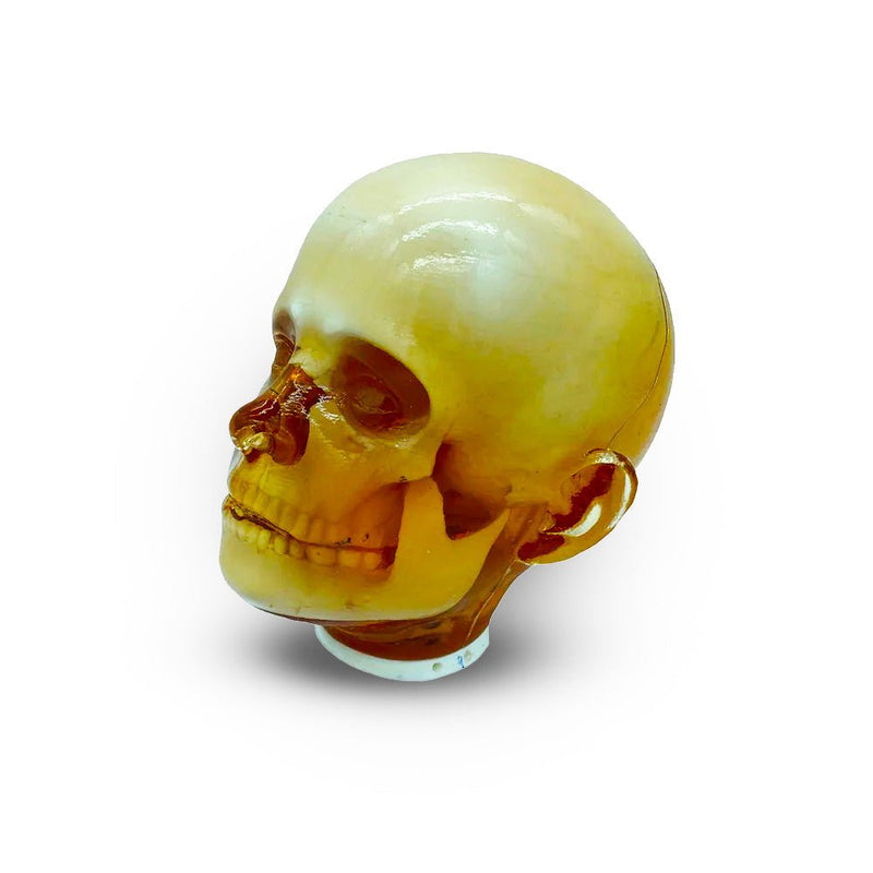 Pediatric Full Human Body Phantom for X-Ray CT & MRI Training