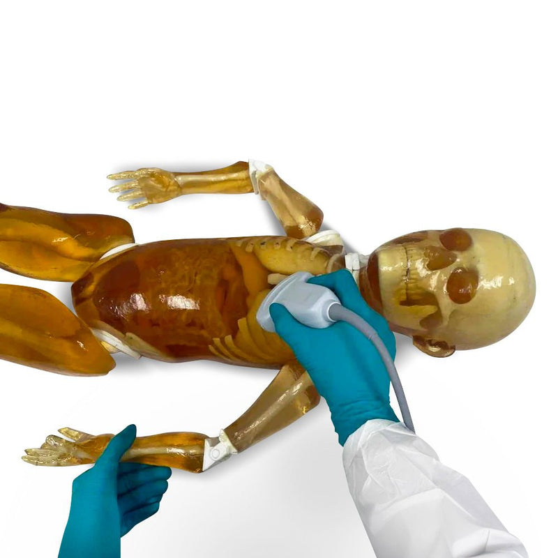 Pediatric Full Human Body Phantom for X-Ray CT & MRI Training