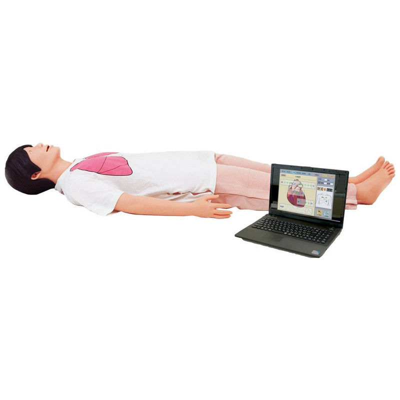 Physical Assessment Simulator “Physiko Plus”