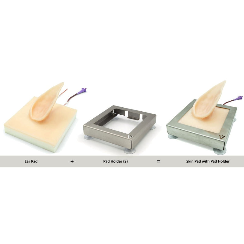 Pig Ear Venipuncture and Catheter Training Model