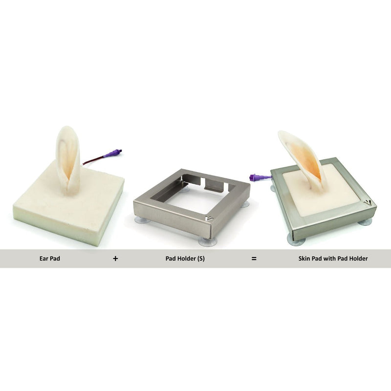 Rabbit Ear Venipuncture and Catheter Training Model