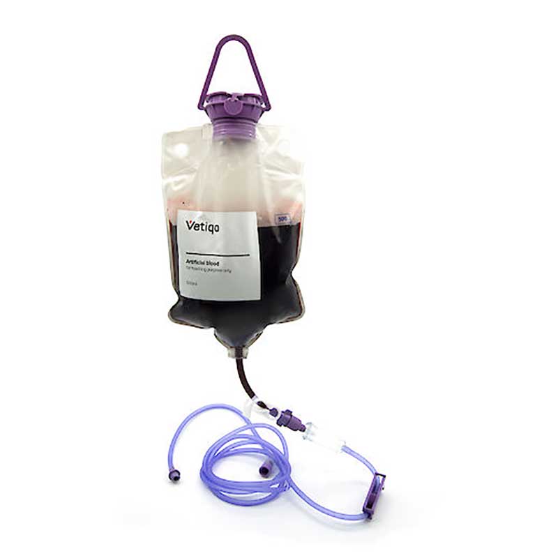 Rabbit Ear Venipuncture and Catheter Training Model