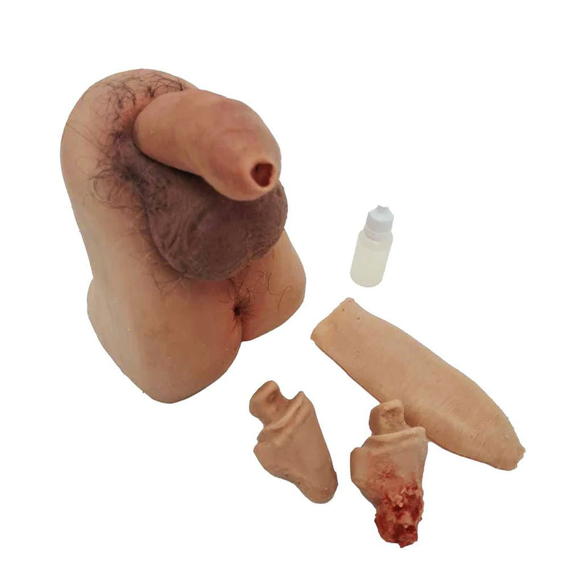 Realistic Male Genitalia Trainer for Cleaning, Catheterization, and Prostate Exam Training