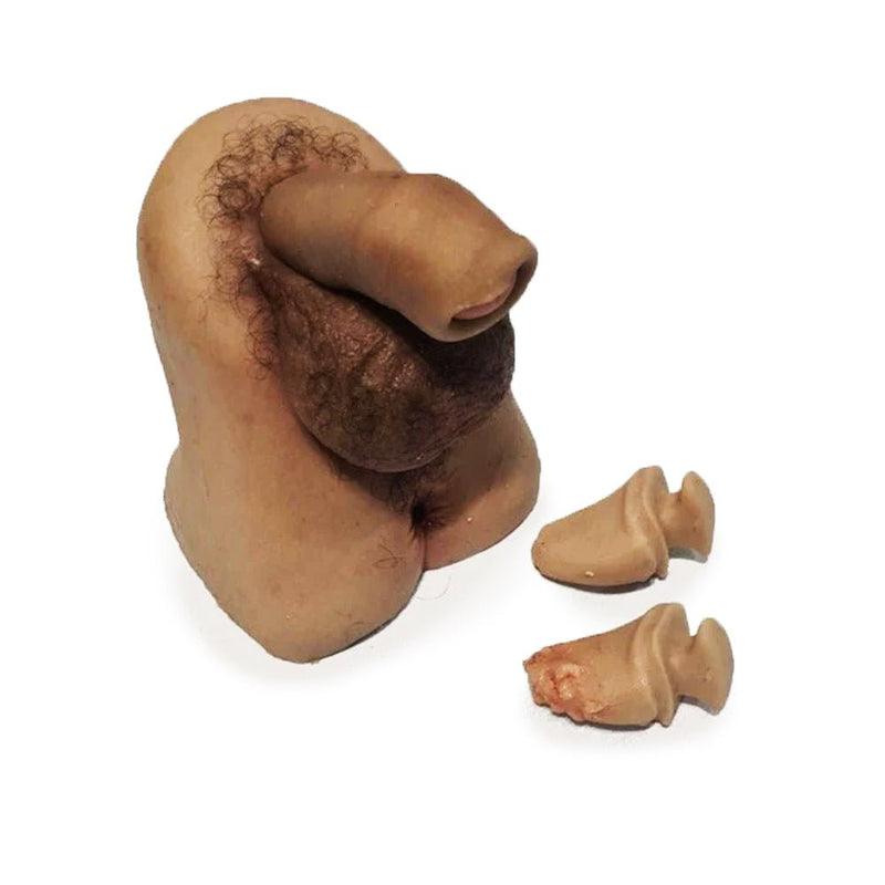 Realistic Male Genitalia Trainer for Cleaning, Catheterization, and Prostate Exam Training