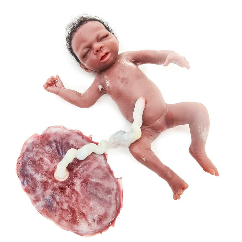 Realistic Preemie Birthing and Nursing Care Simulator 'Lulu' with Umbilical Cord and Placenta